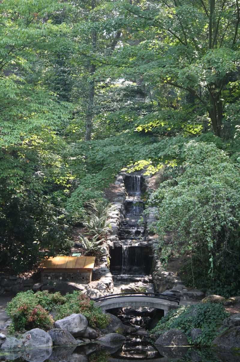 Creekside Wandering Through Leafy Lithia Park