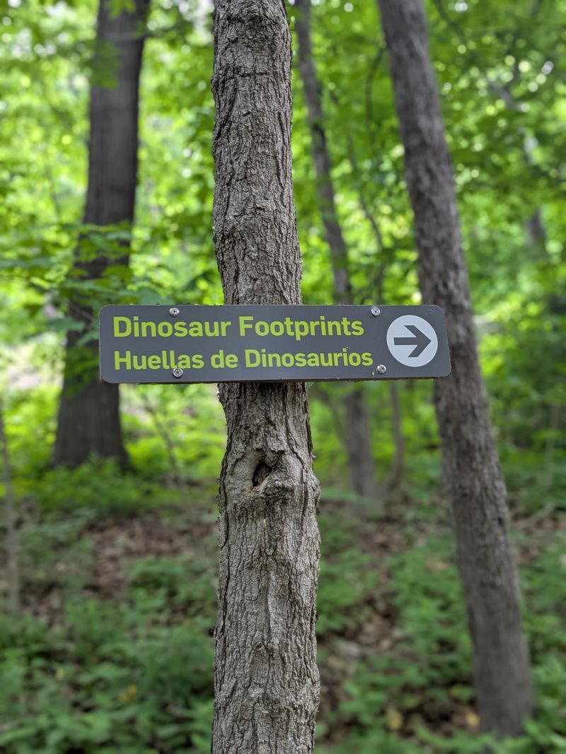 Finding the First Footprint Becomes a Detective Game