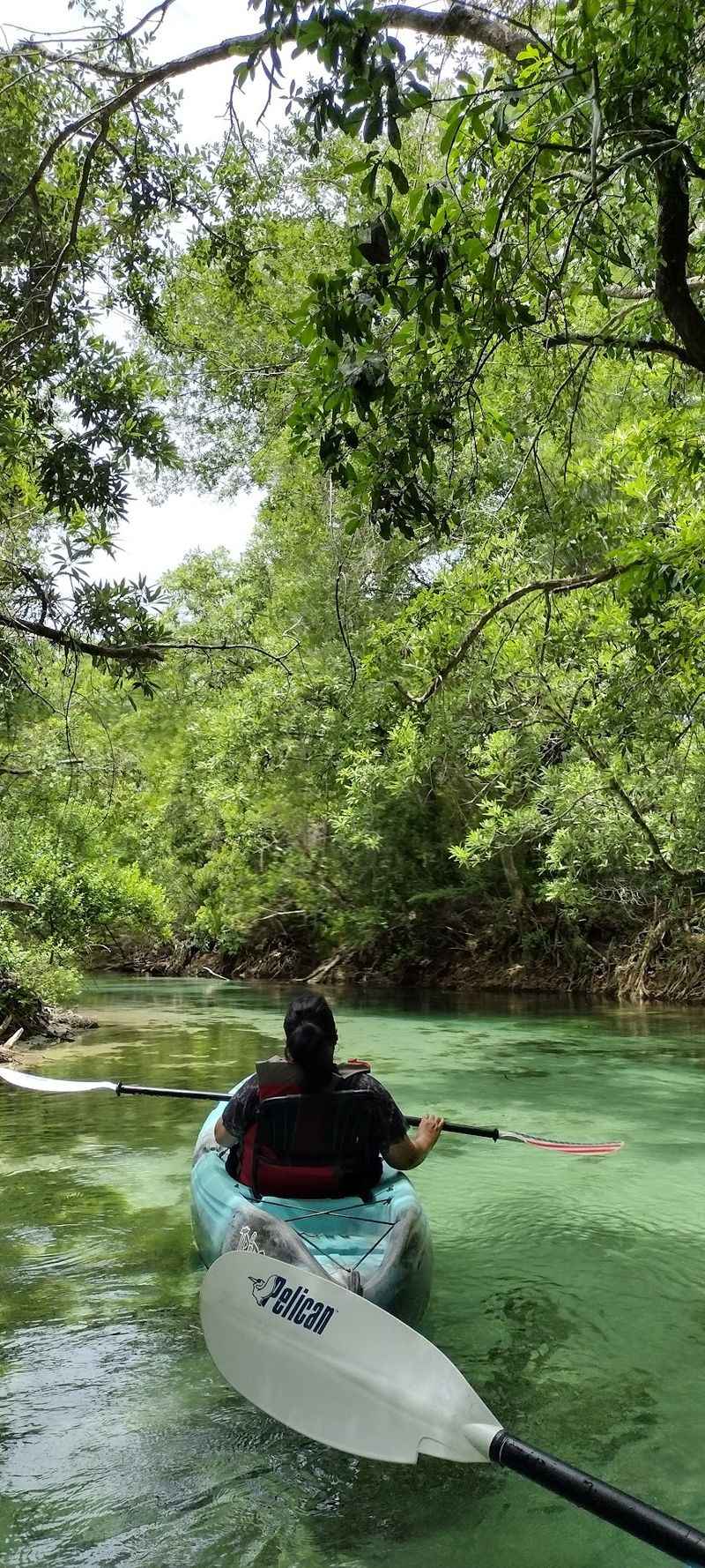 Arrive With a Plan, Leave Room for Wonder