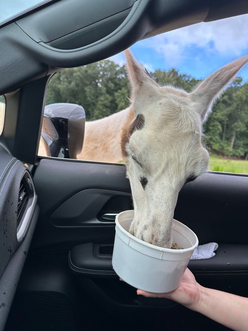 Feed Buckets Need a Little Strategy
