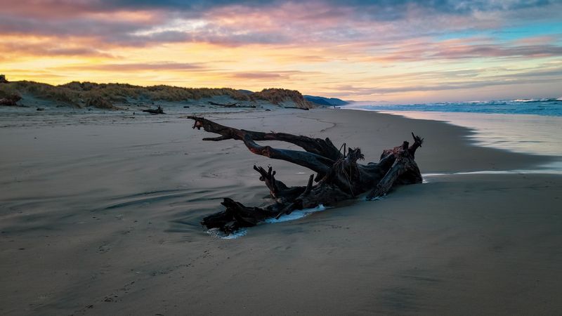The Galleon Wax That Keeps Washing Ashore