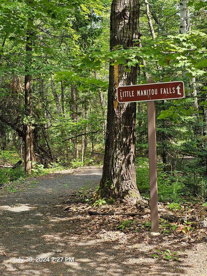 Forest Trails Make the Journey Matter
