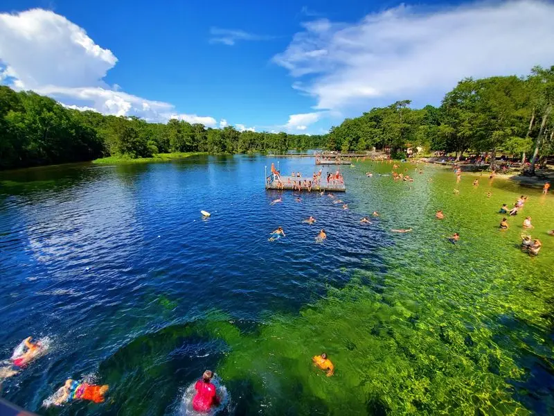 Manatees Are Visitors, Not Swimming Partners