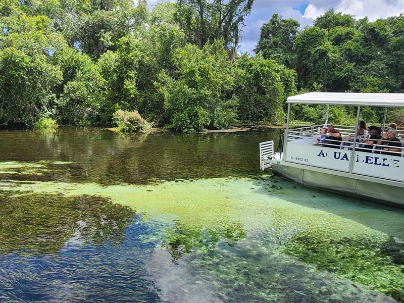 A River Cruise That Slows the Afternoon