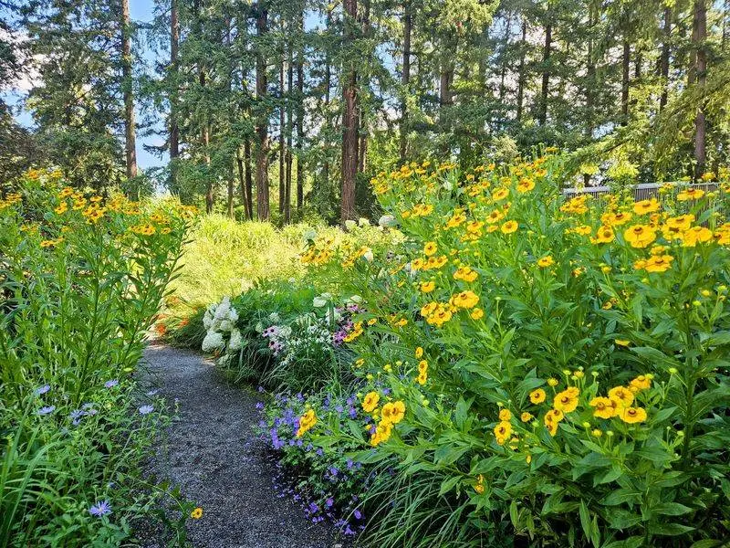 Over 2,000 Plant Species Keep Something Blooming Year Round