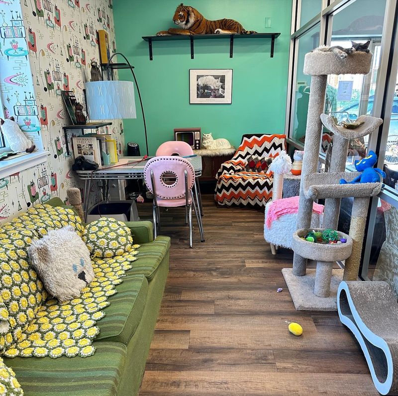 Clean Floors And Thoughtful Decor Set The Mood