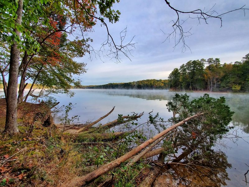 Lake Breezes Beneath Bright Leaves: Latta Nature Preserve - Huntersville, Mecklenburg County,