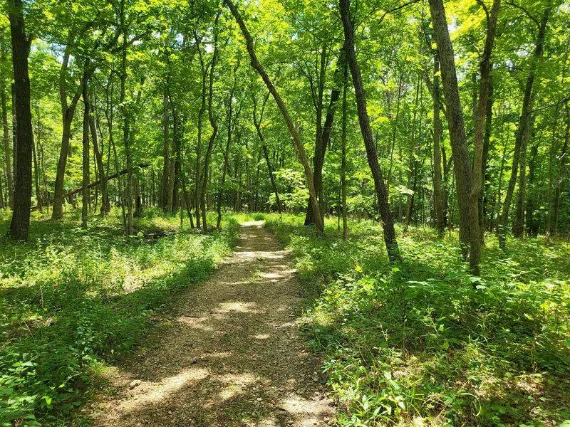 Elbow Room Is The Real Luxury On These Quiet Trails