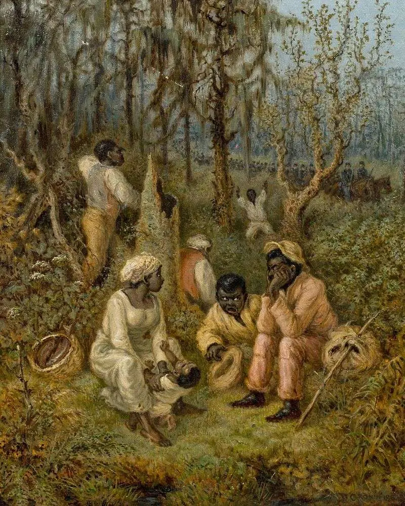 Hidden Maroon Communities Made Survival Possible