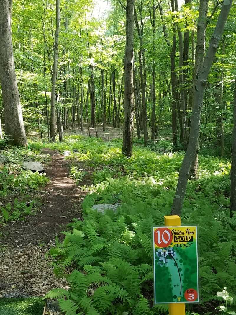 Follow the Pond Loop at Your Own Pace