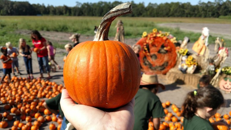 Crossroads Farm & Apiary