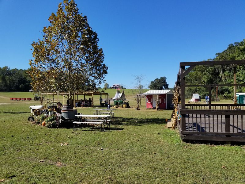 Coon Hollo Farm