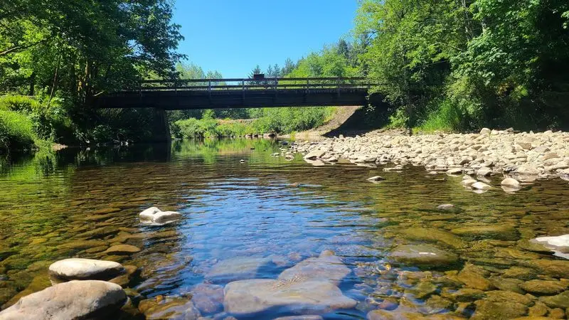 Shallow Water And Happy Splashing Feet