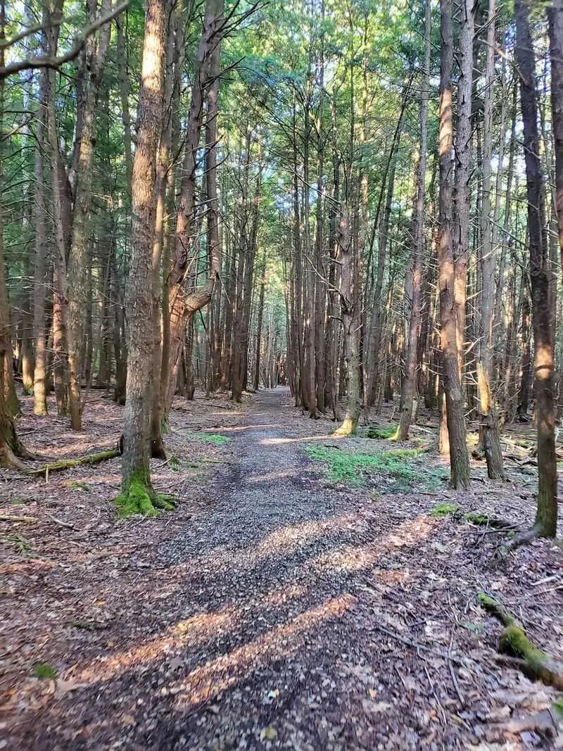 Trails Start Practically At Your Cabin Door