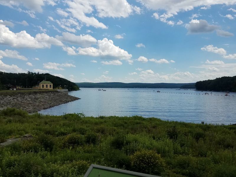 Before the Water, There Was Wilsonville