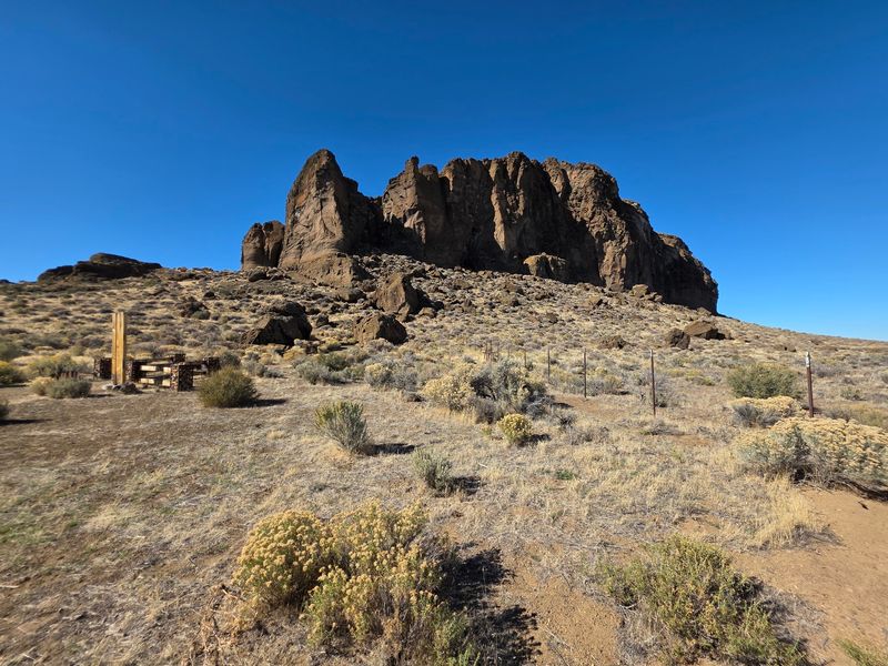 Free Admission And Shady Picnic Tables