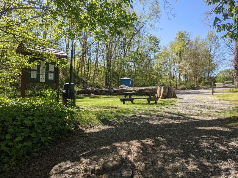 Grab A Picnic Table And Fire Up The Grill