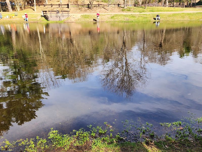 Cast a Line at Stratton Brook Park Pond