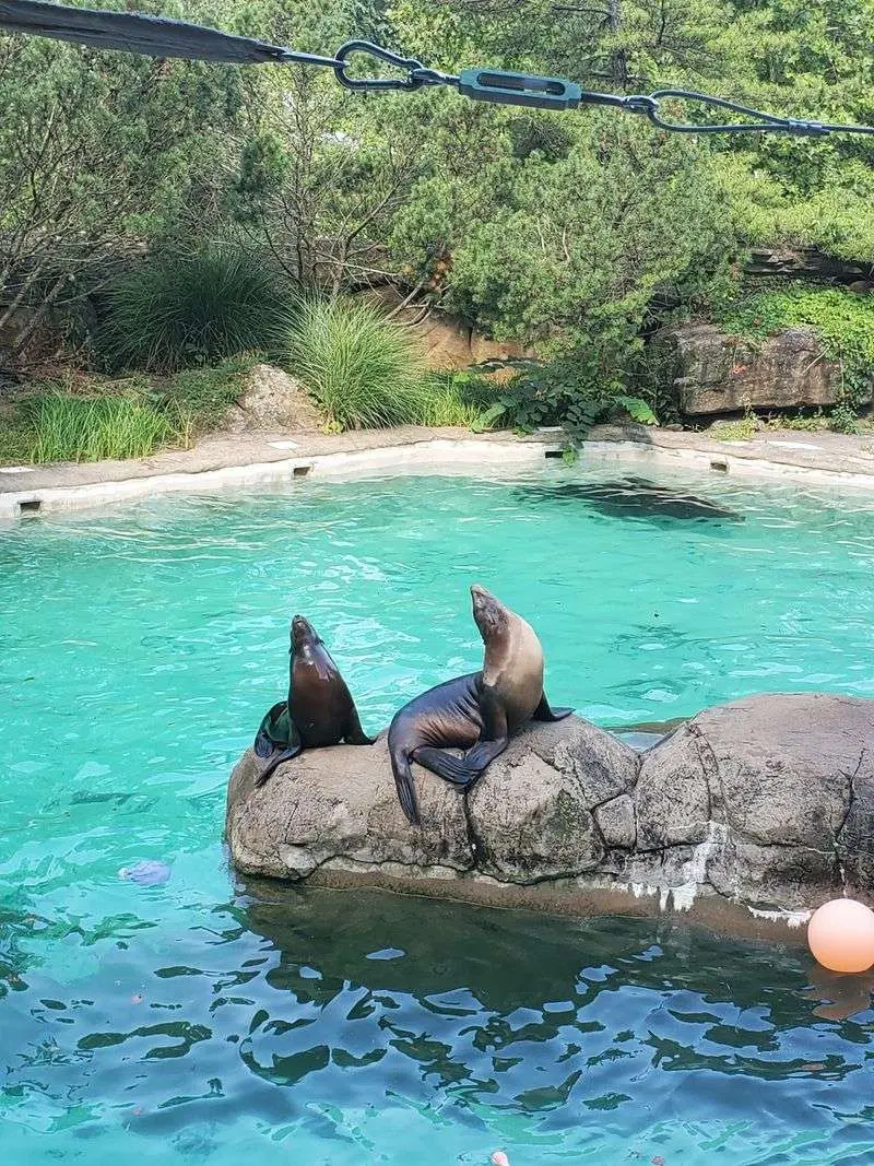 Little Explorers Get A Kingdom All Their Own
