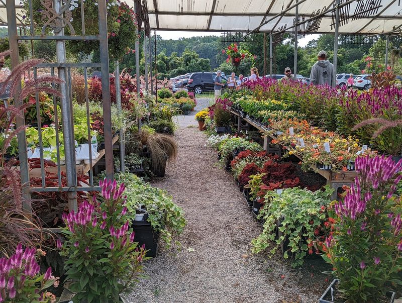 Your Garden Is About To Get Very Jealous
