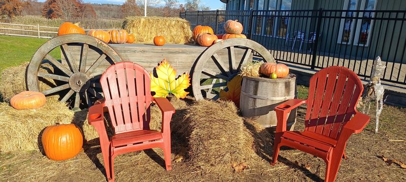 Pumpkins And AutumnFest Give The Season A Grand Finale