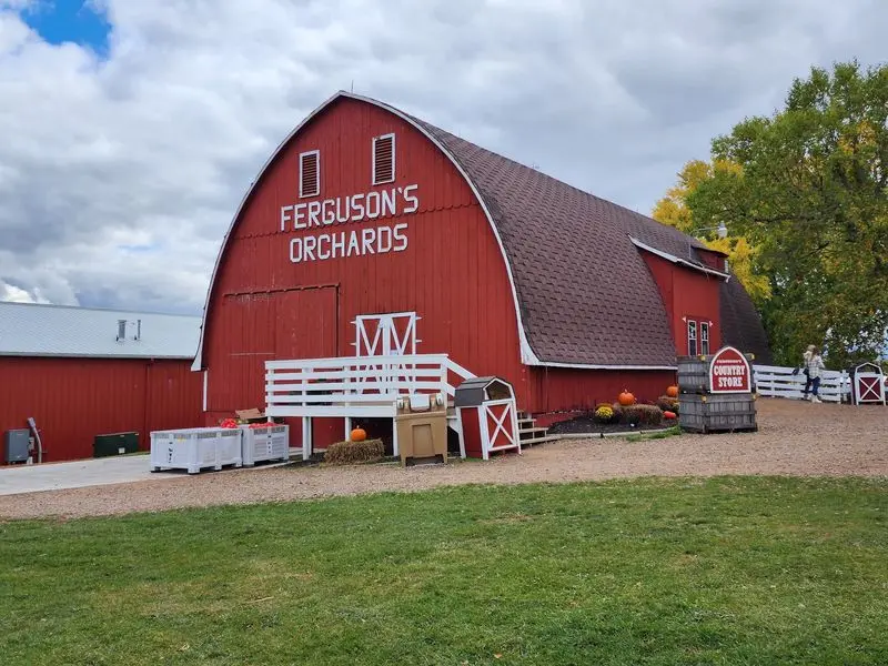 Fergusons Orchards