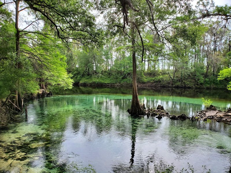 Finding This Woodsy Corner Of North Florida Is Half The Fun