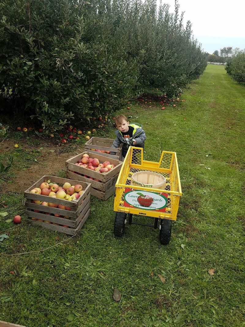 Lawrence Orchards: Find Marion&rsquo;s Community Spirit