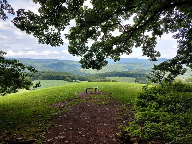 Those Gorge Views Might Make You Forget The House For A Minute