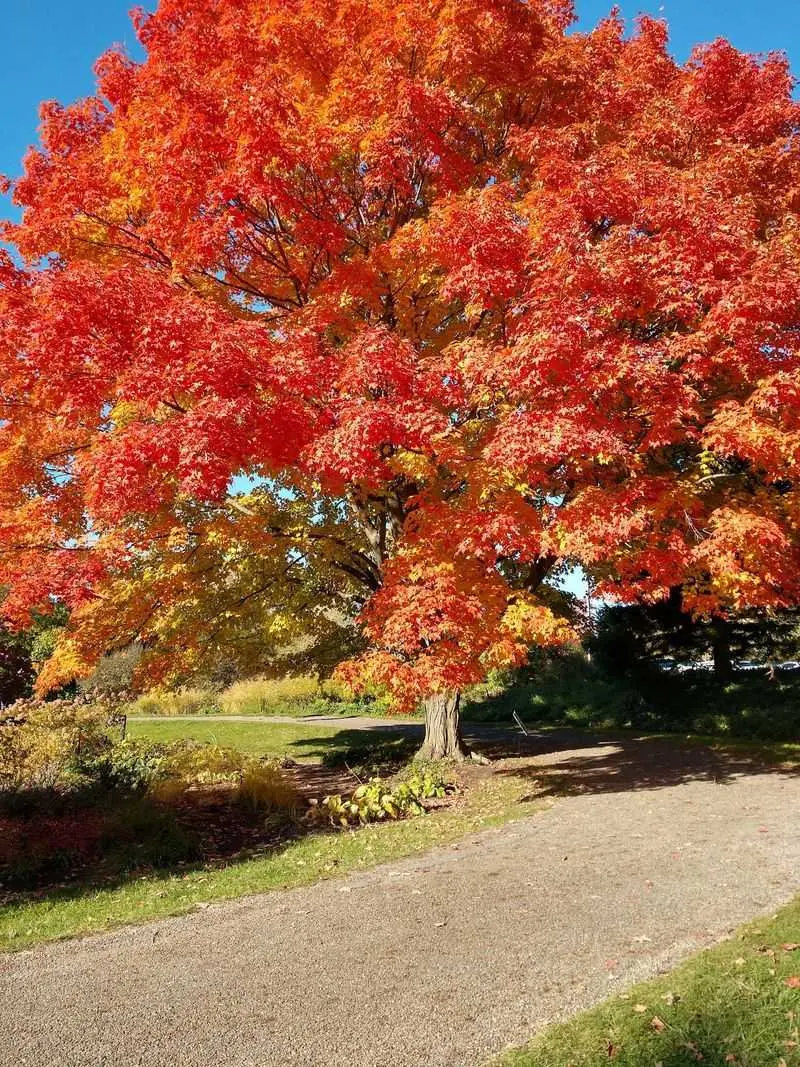 Holden Arboretum, Kirtland