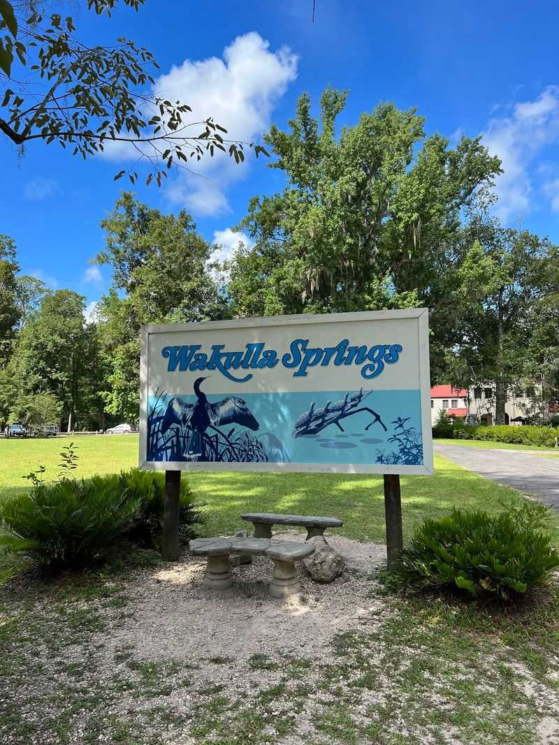 A Spring That Belongs to Wildlife