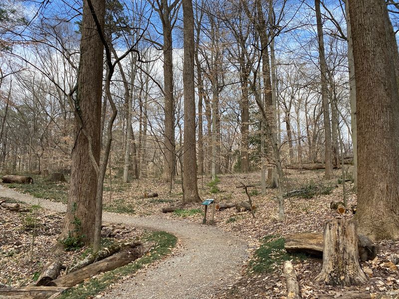 Two Miles Of Trails Are Waiting For Your Sneakers