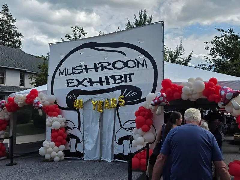 Mushroom Festival, Kennett Square, Chester County