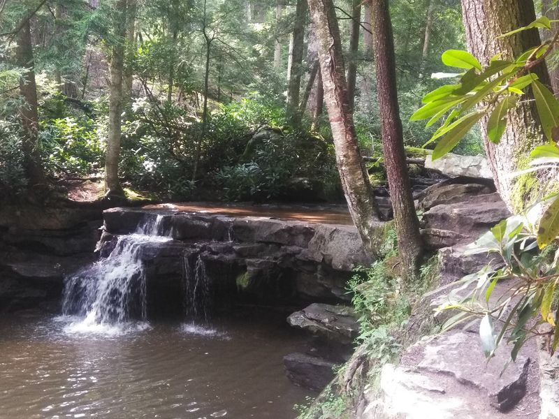One Short Loop, Three Waterfalls To Collect