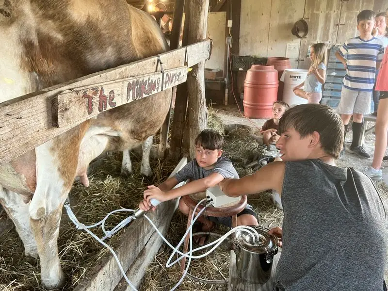 Summer Camp Chores Your Kids Might Actually Enjoy