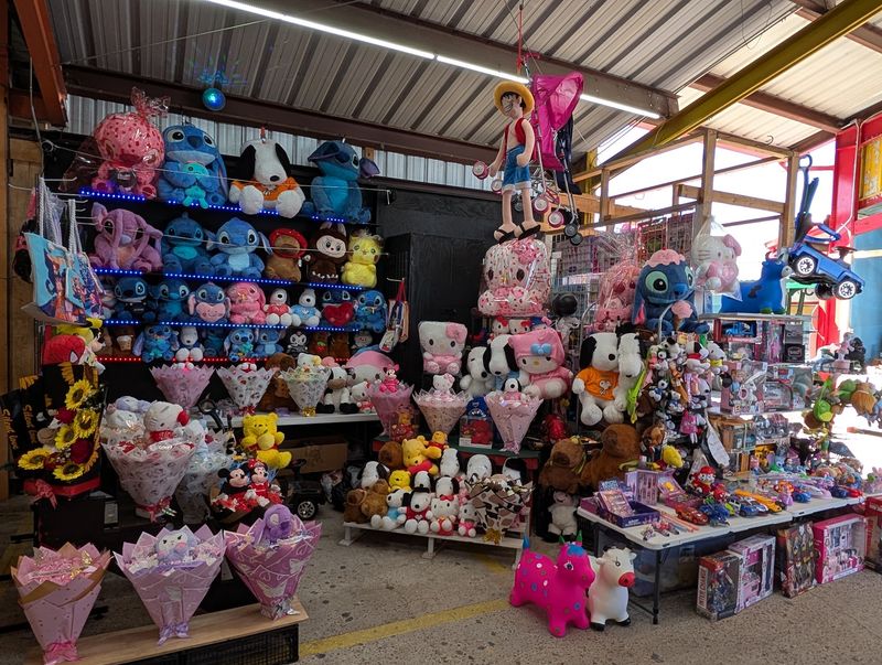 Kids Get Their Own Carnival Right In The Middle Of It All