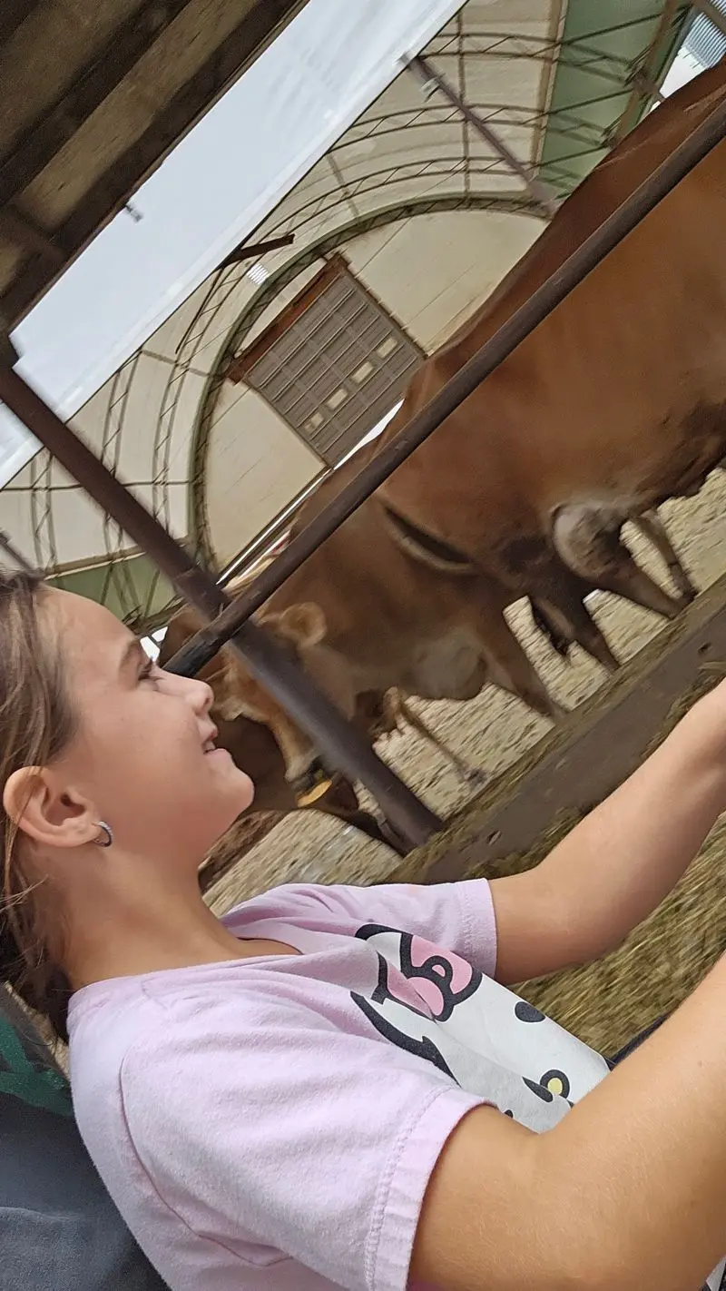 The Annual Open House Lets You Meet The Cows