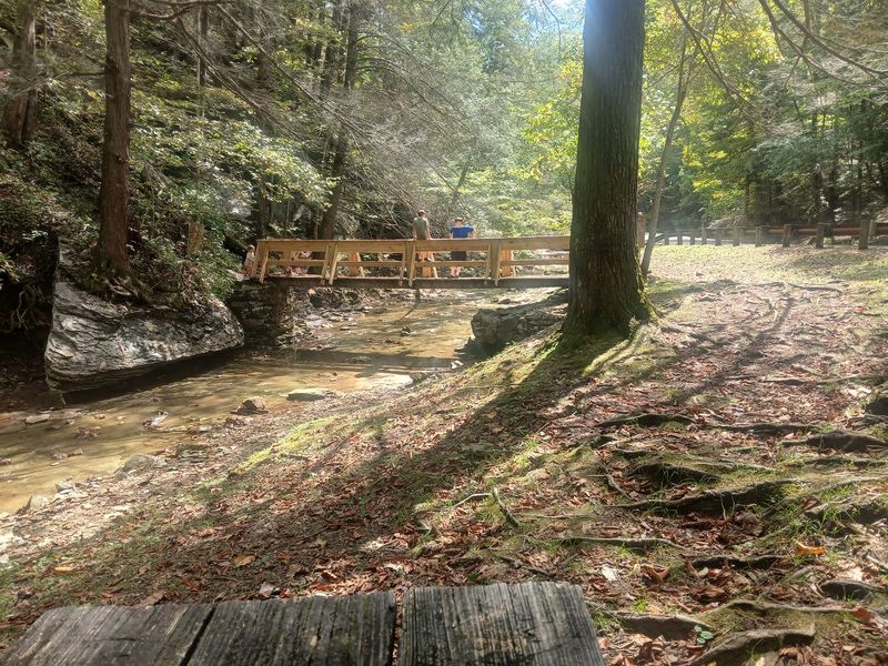 Cabins And Campsites For Every Kind Of Crew