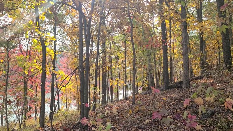 Trails That Climb Past Lake Views And An Old Cemetery