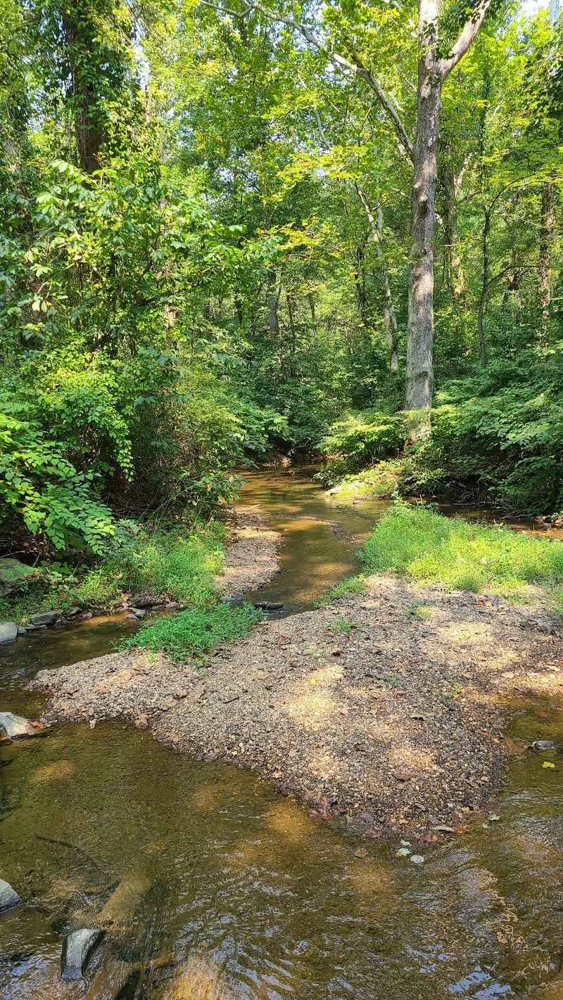 Fraser Preserve