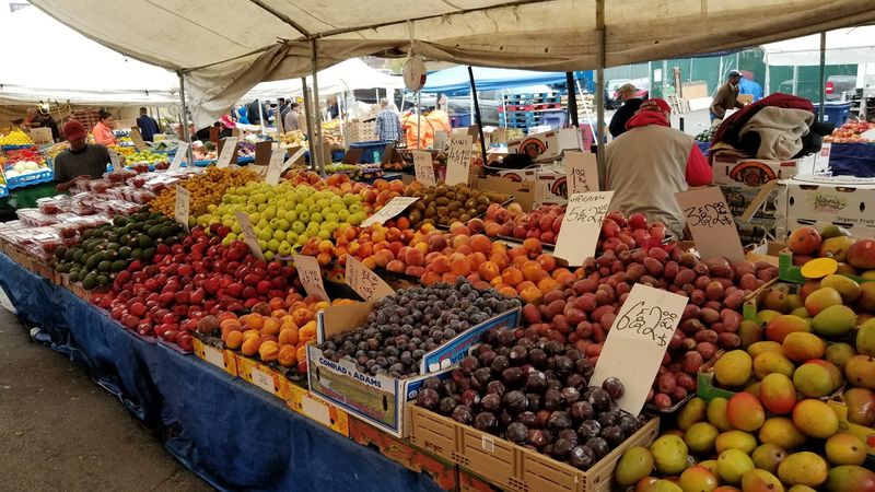 Colorful Fruit With Plenty of Possibilities