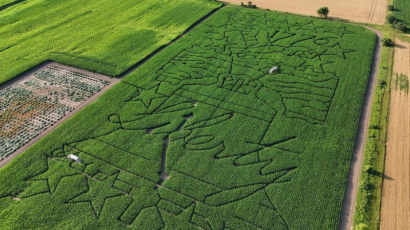 Red Barn Corn Maze