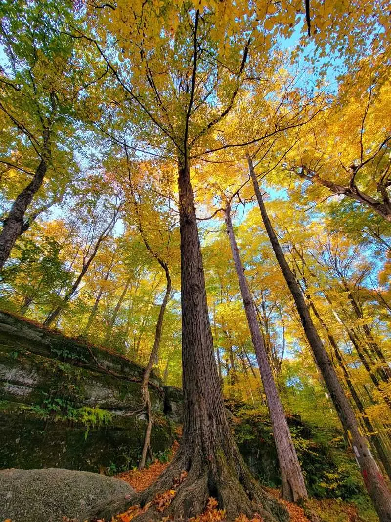 Nelson-Kennedy Ledges State Park, Garrettsville, OH