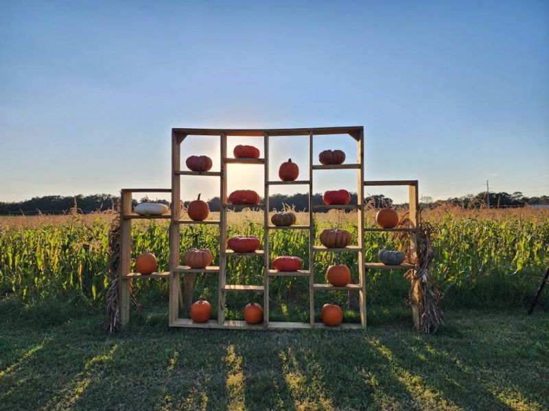 Cannon Farms