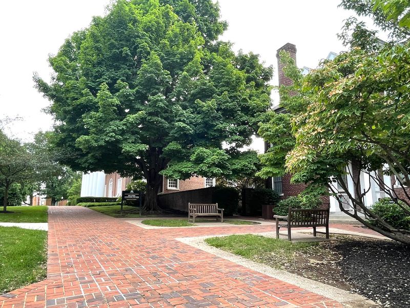 Why This Campus Deserves A Spot On Your Kentucky List