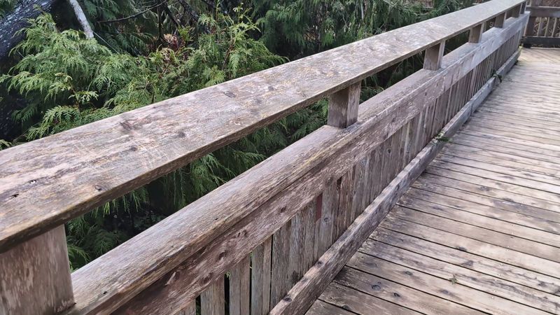 Wet Wood Is Slick, So Pack The Grippy Shoes