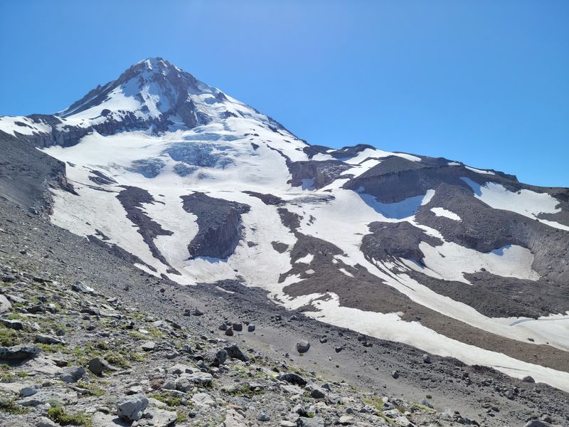 Above The Tree Line, Four Giants Line Up