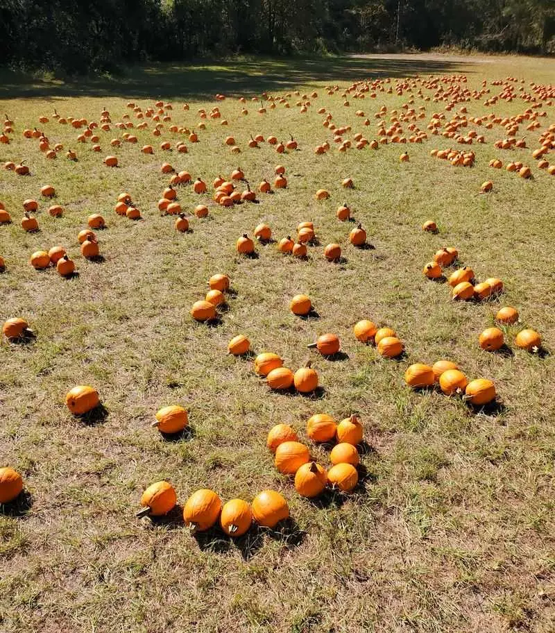 Poppell Farms