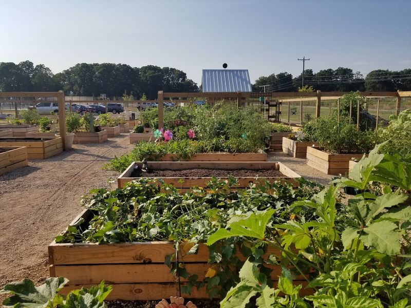 Cool Down With a Stroll Through the Garden