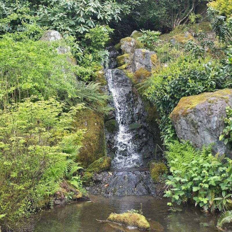 Waterfalls That Do The Talking